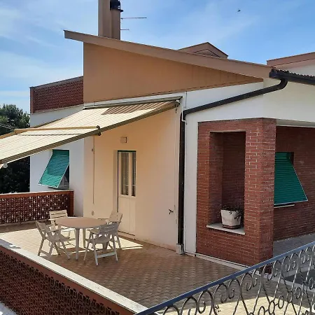 Accordeon * كاستيلْفيدارْدو